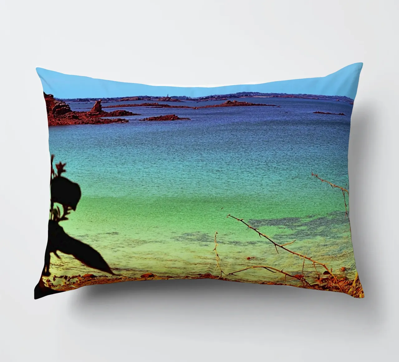 FAA311 decorative cushion by Thierry vobmann photography