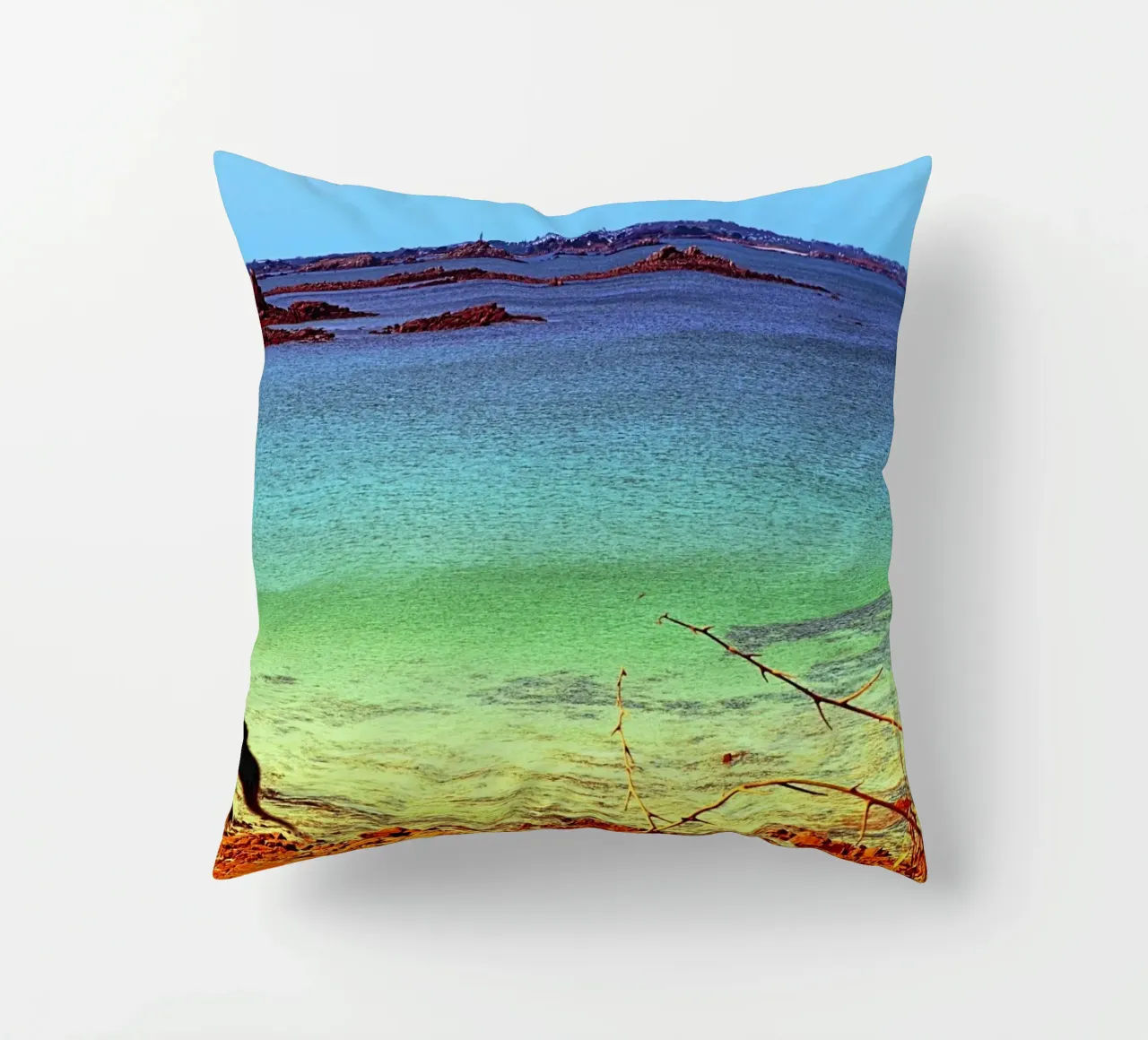 FAA311 decorative cushion by Thierry vobmann photography
