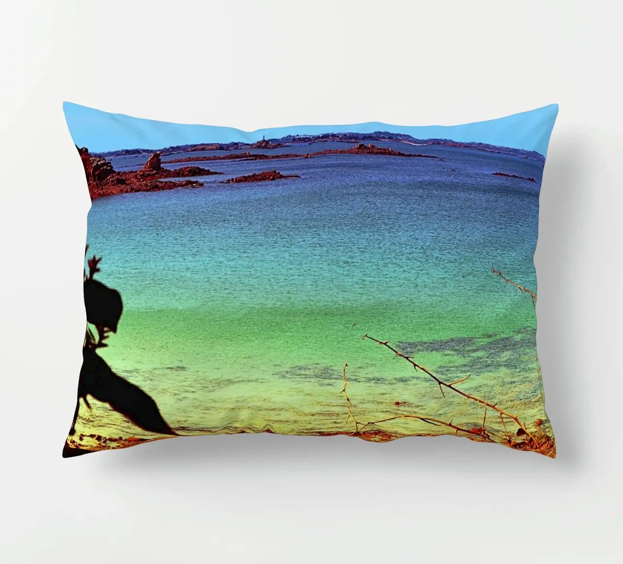 FAA311 decorative cushion by Thierry vobmann photography