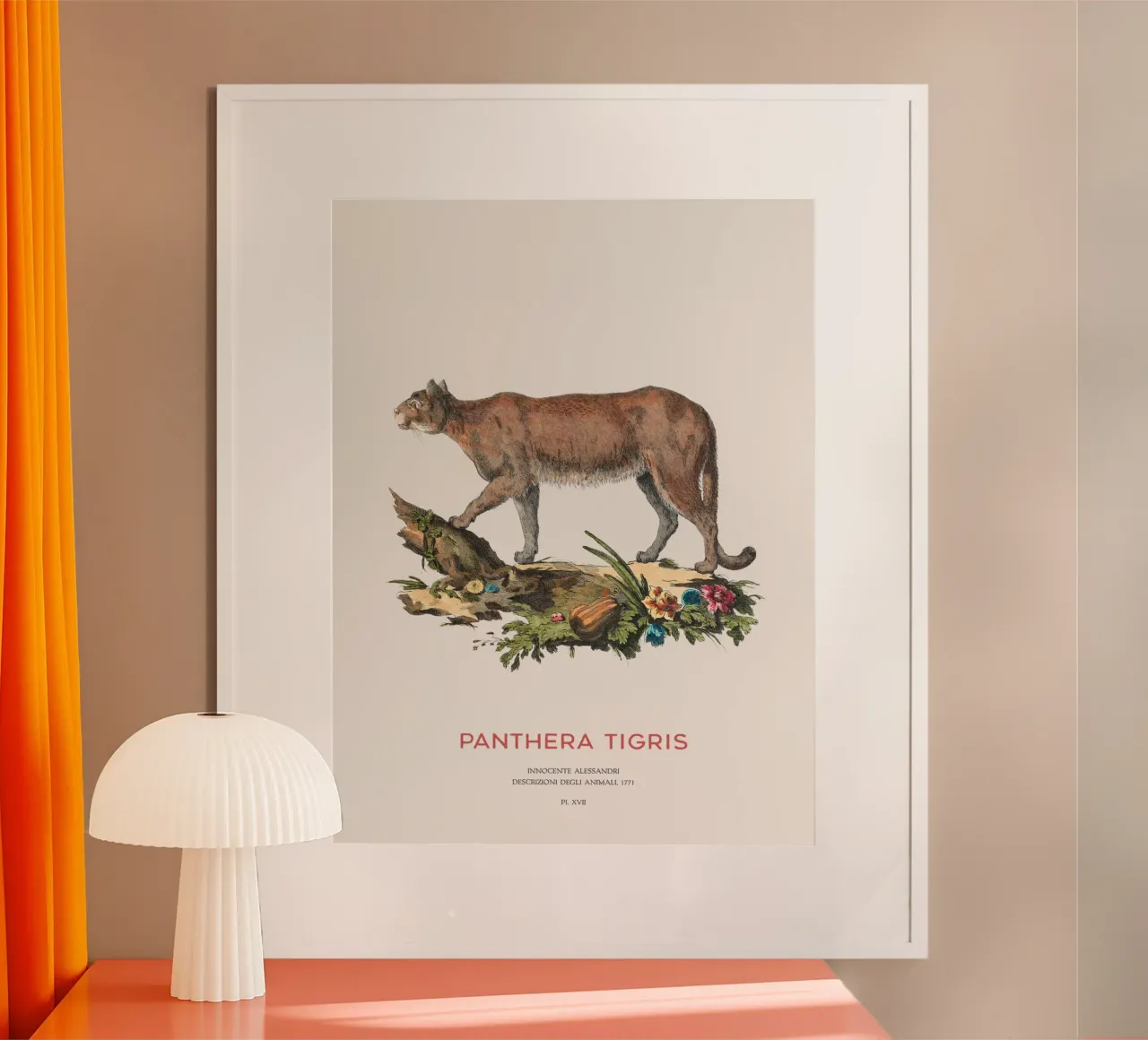 Vintage Tiger Scientific Art hahnemühle by Vintagrafica