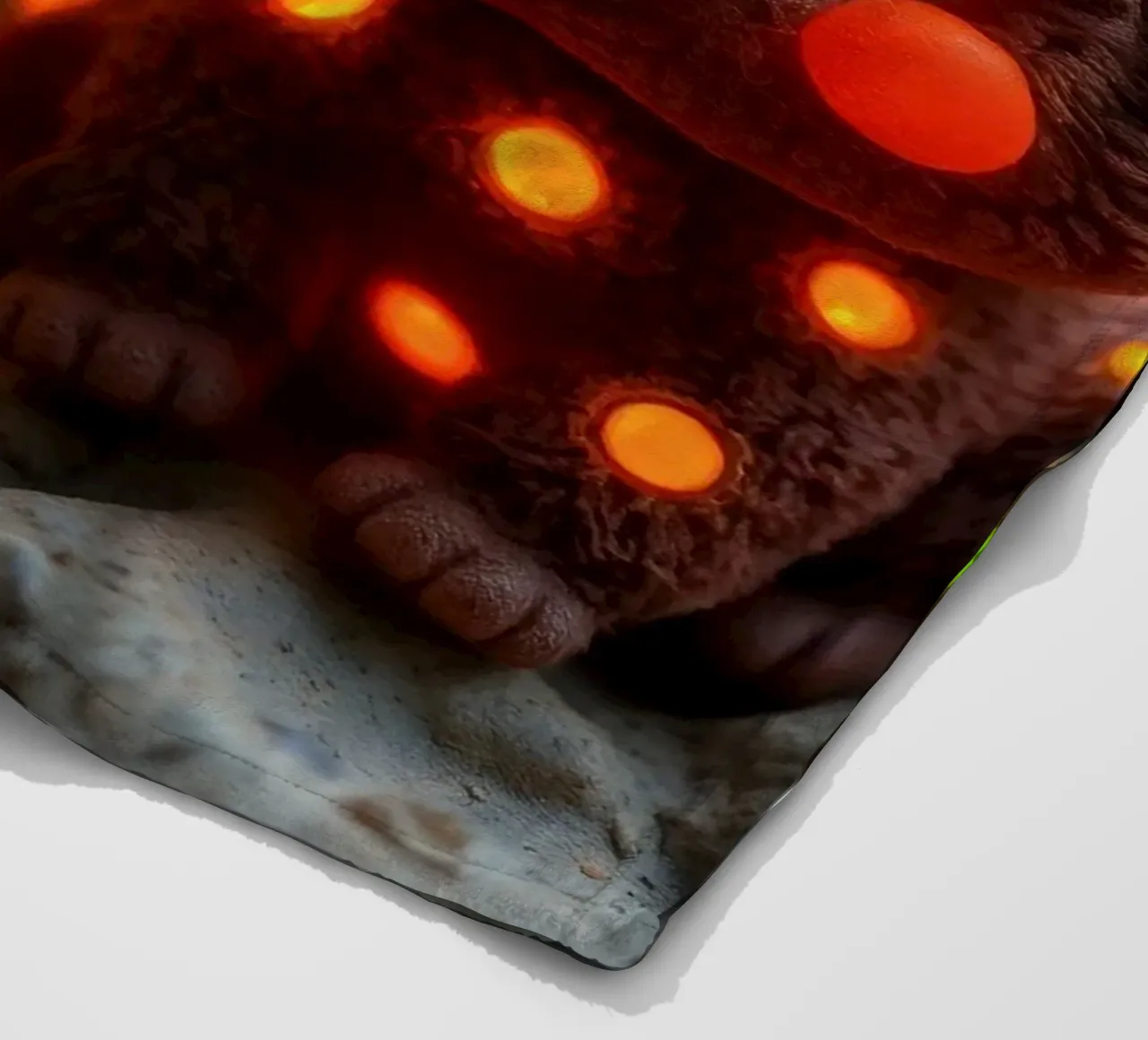 Morbidi orsetti di peluche con macchie luminose siedono su una roccia coperta in pile da DesignDoodle