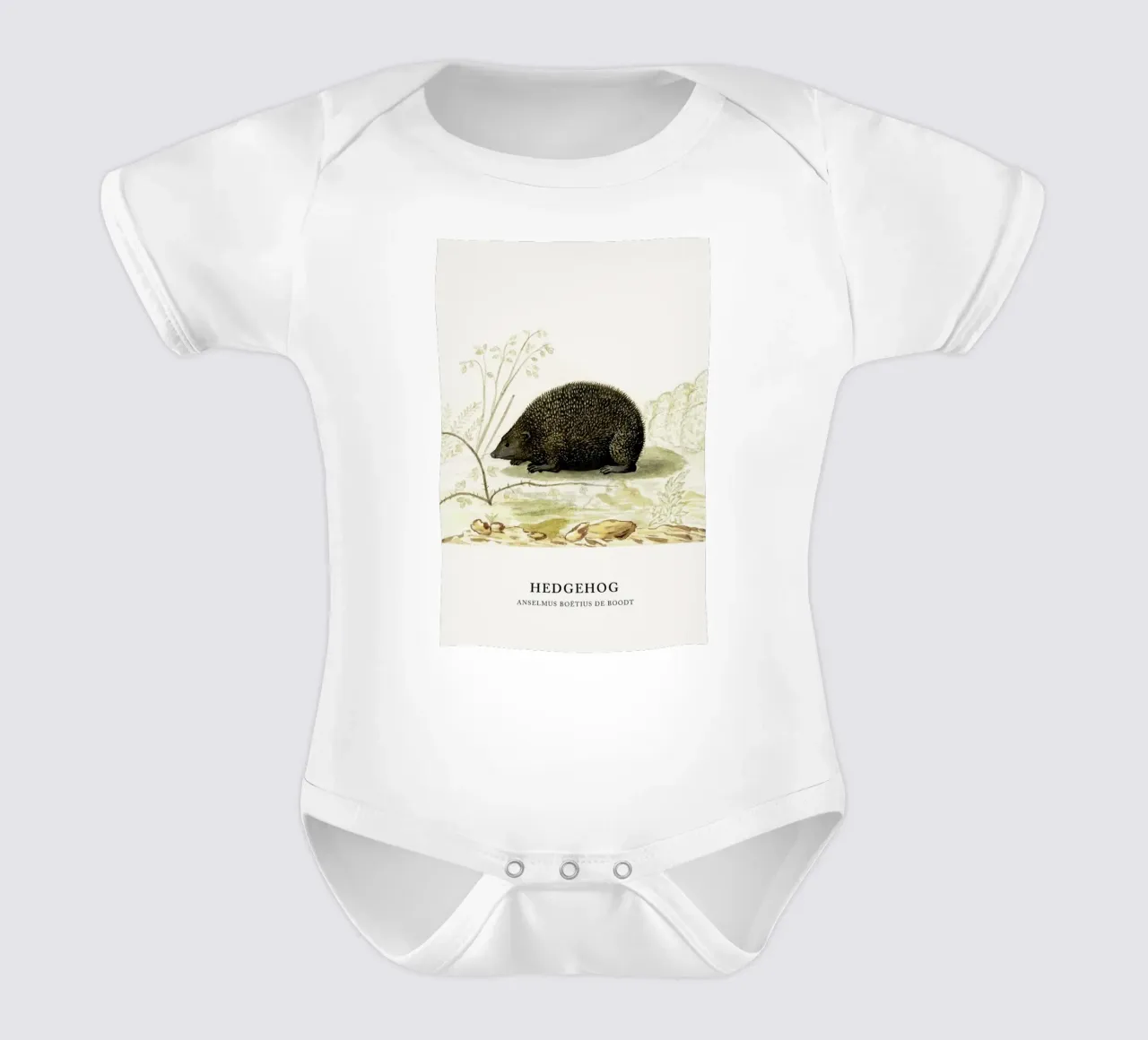 Anselmus Boëtius de Boodt - Hedgehog body neonato maniche corte da Vintage by JUNIQE