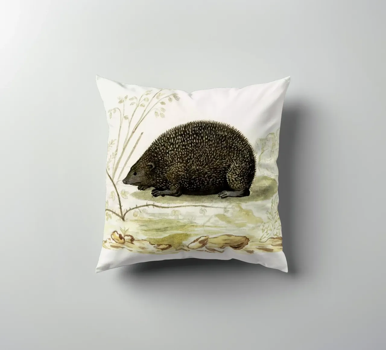 Anselmus Boëtius de Boodt - Hedgehog cuscino da Vintage by JUNIQE