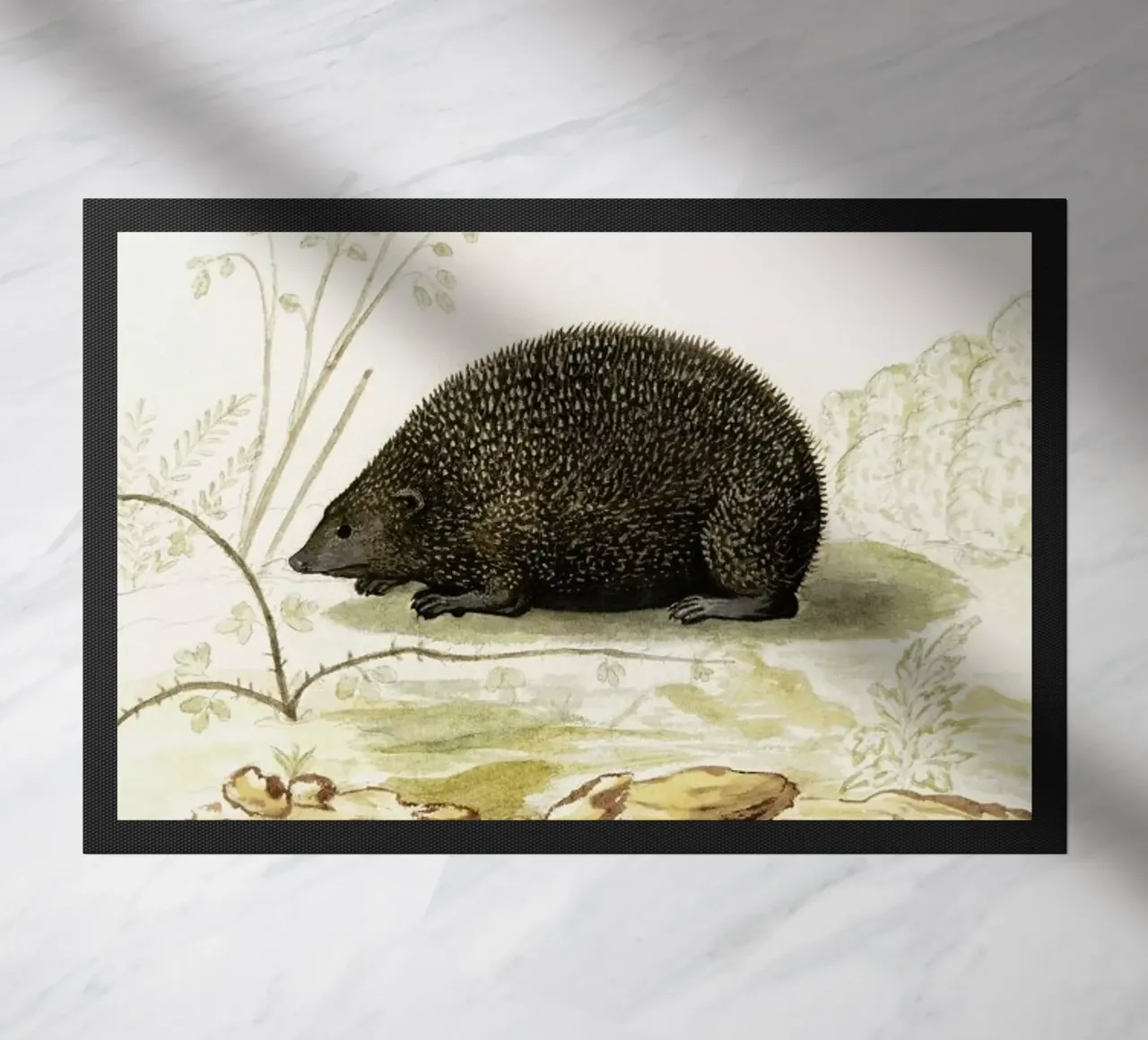 Anselmus Boëtius de Boodt - Hedgehog zerbino da Vintage by JUNIQE