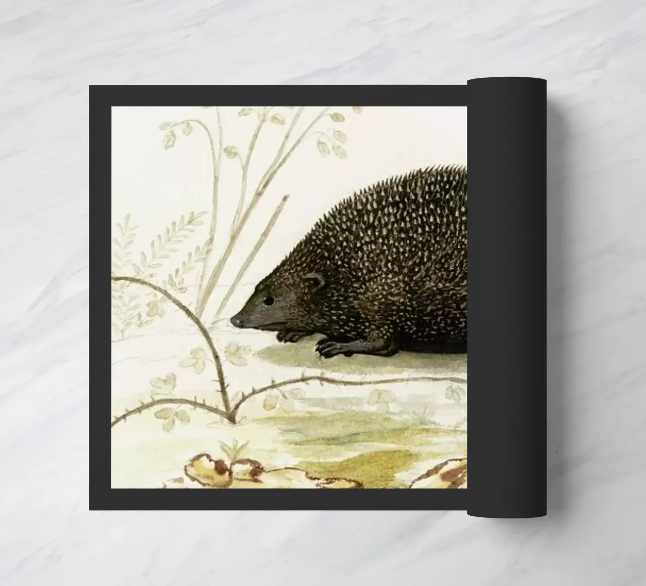 Anselmus Boëtius de Boodt - Hedgehog zerbino da Vintage by JUNIQE