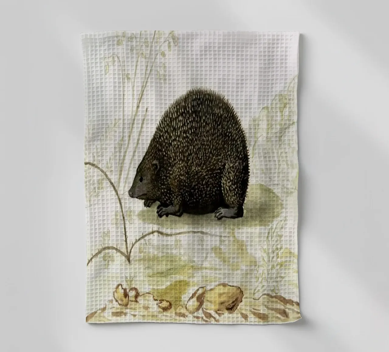 Anselmus Boëtius de Boodt - Hedgehog canovaccio da cucina da Vintage by JUNIQE