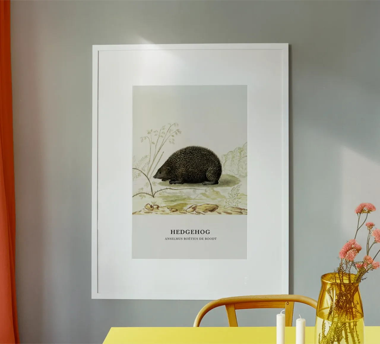 Anselmus Boëtius de Boodt - Hedgehog carta hahnemühle da Vintage by JUNIQE