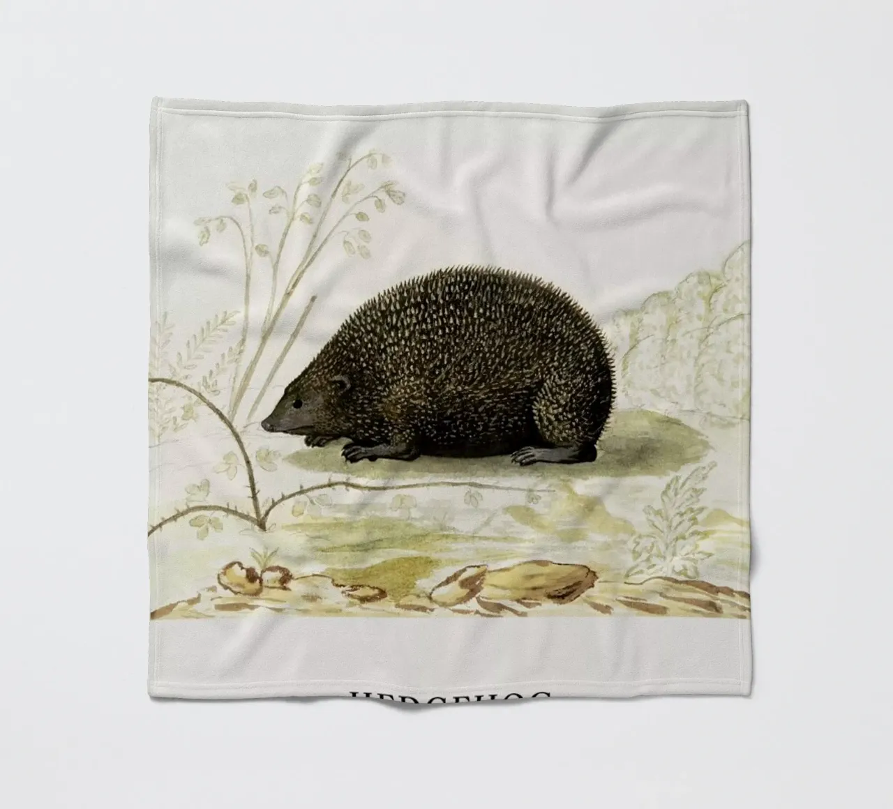 Anselmus Boëtius de Boodt - Hedgehog coperta in pile da Vintage by JUNIQE