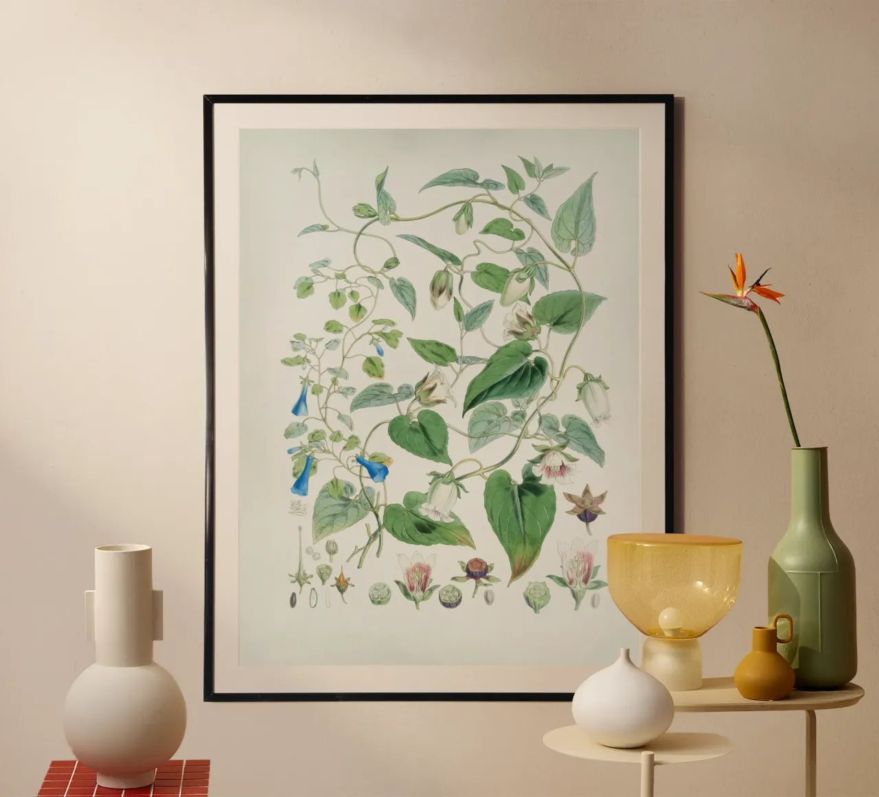 vita nella natura poster da NEW LIFE