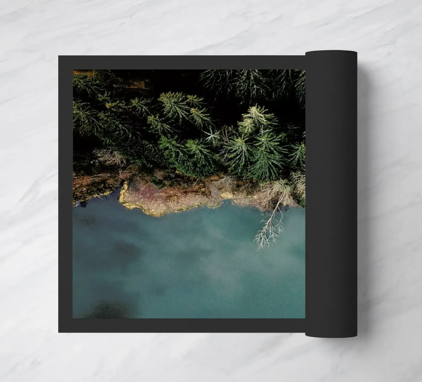 Natural Division zerbino da METROPOLIS