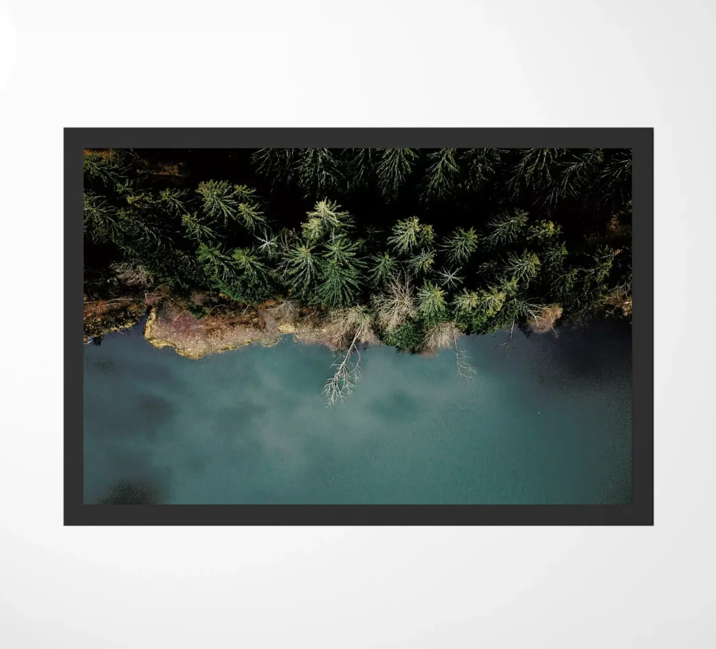 Natural Division zerbino da METROPOLIS