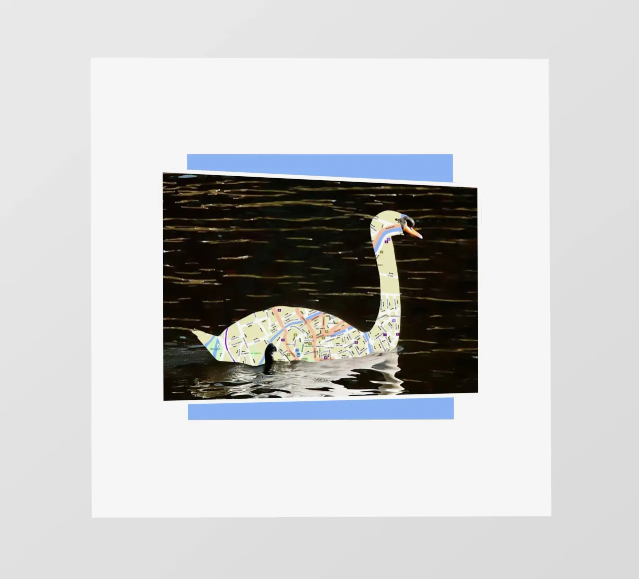 Swans of Bruges telo in pvc da fortrart