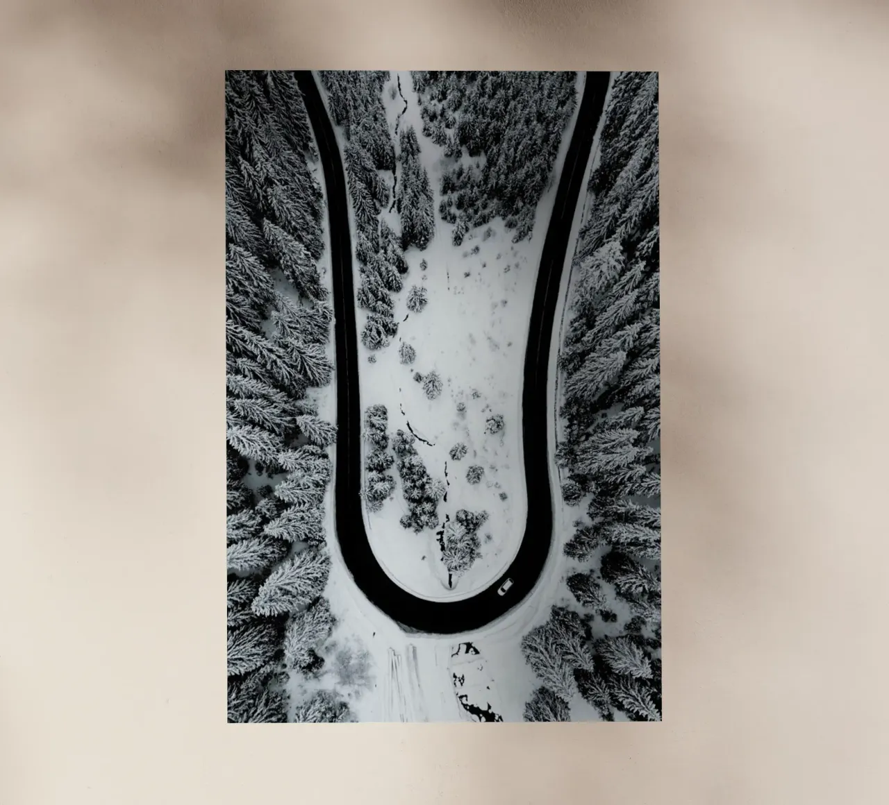 Looping Back pellicola backlit da METROPOLIS