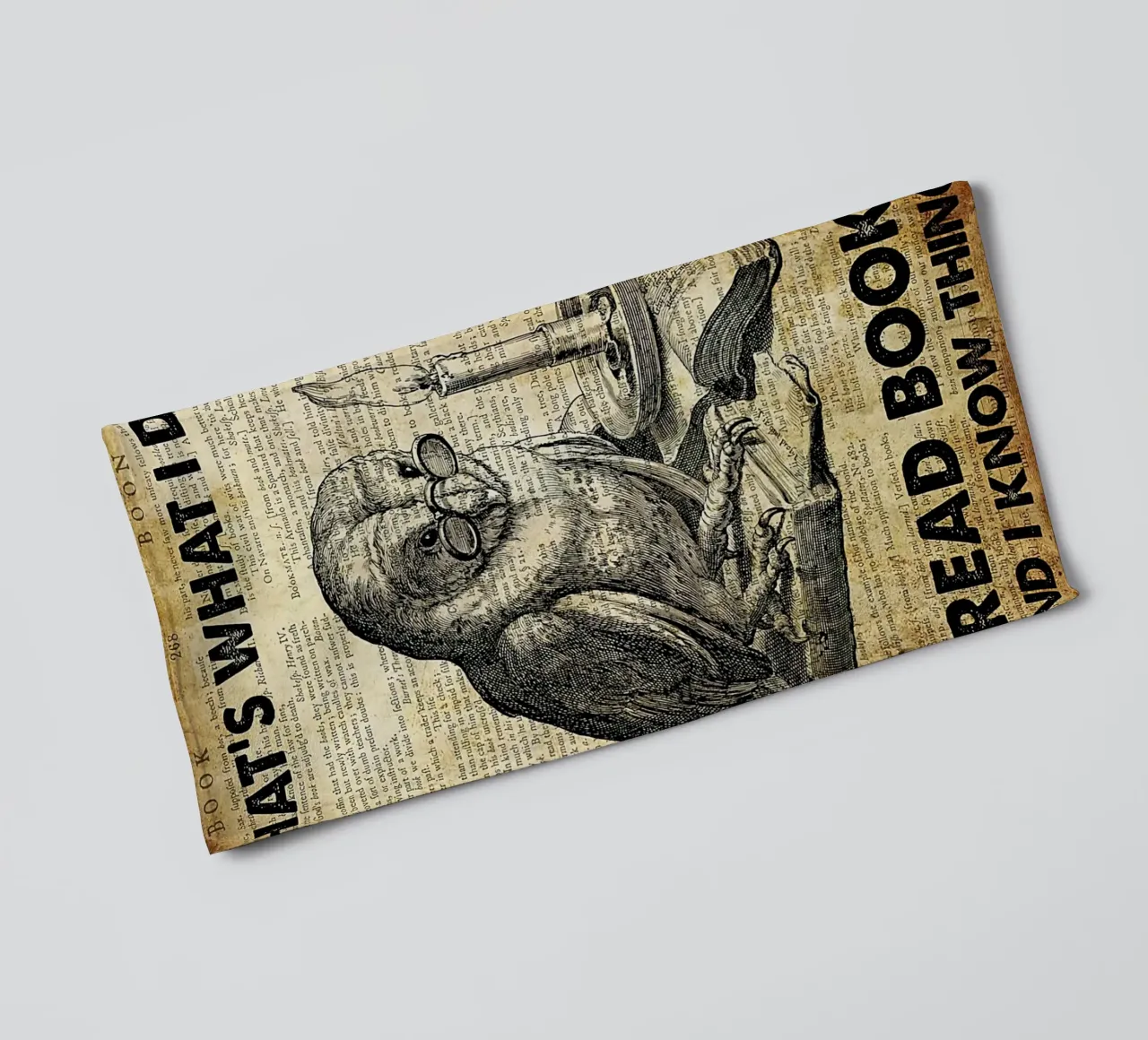 Owl That's What I Do I Read Books And I Know Things towel by Aaronshop
