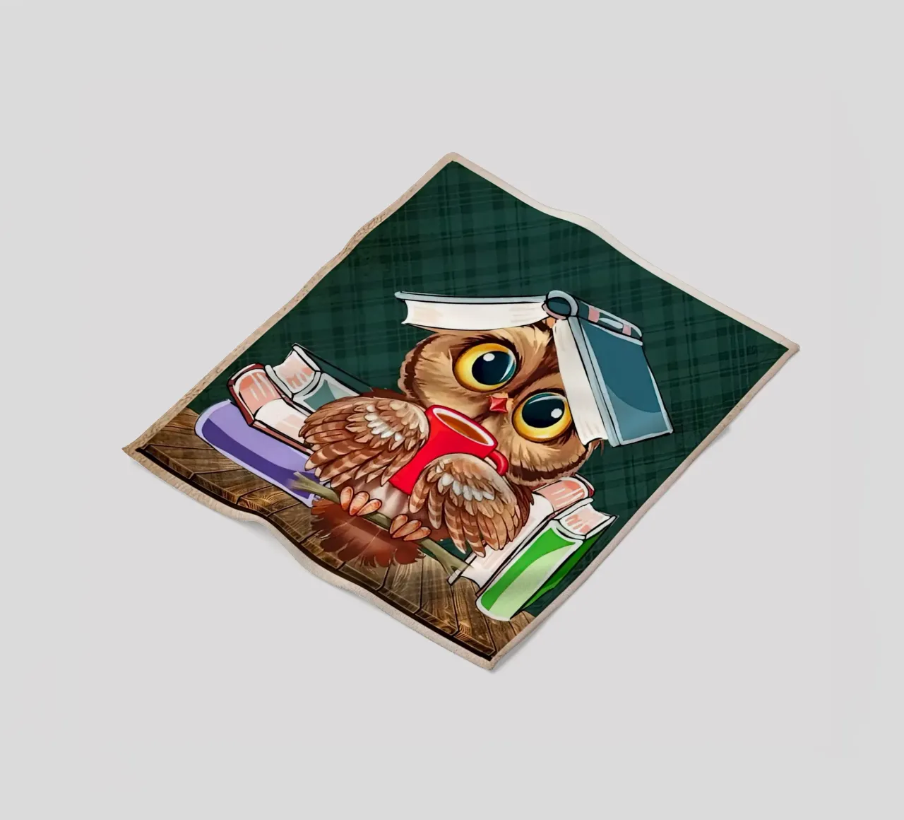 Eule Ich lese Bücher Ich trinke Tee und ich weiß Dinge Fleecedecke von Aaronshop