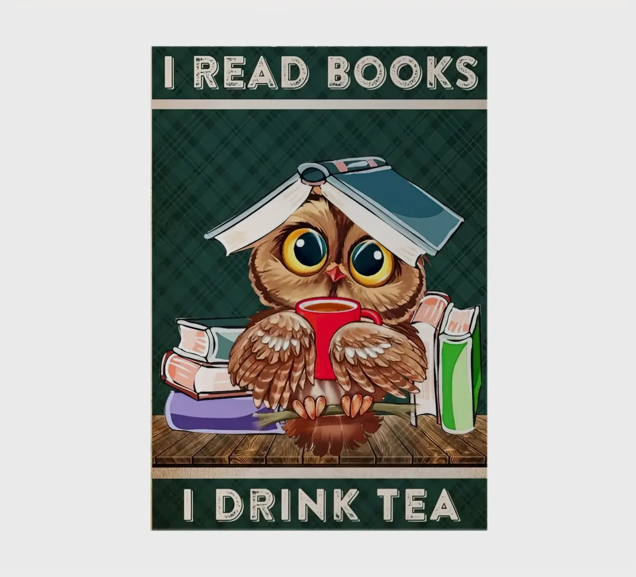 Owl I Read Books I Drink Tea and I Know Things notebook by Aaronshop