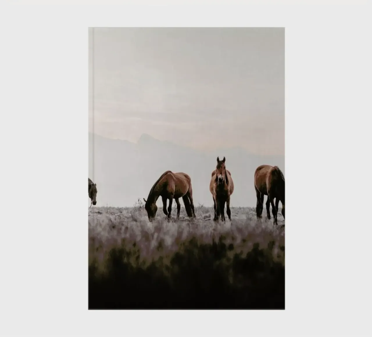 Out In The Wild @АйдинИсаев notebook by EyeEm Mobile GmbH