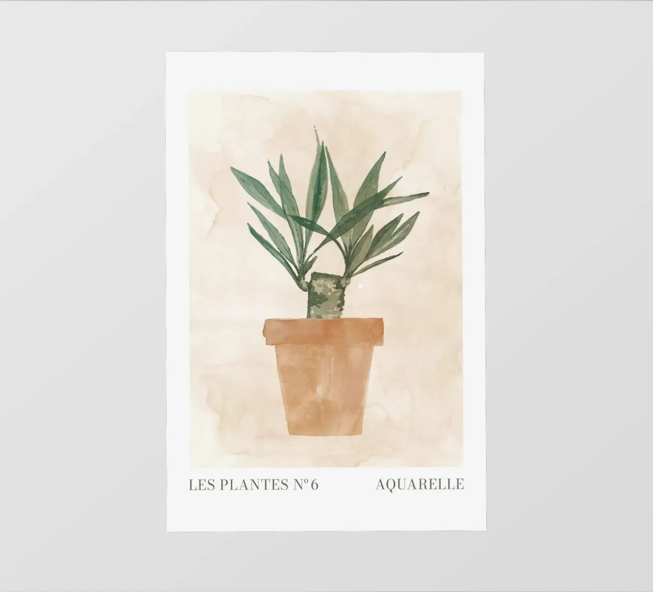 Piante n. 6 telo in pvc da NouveauPrints
