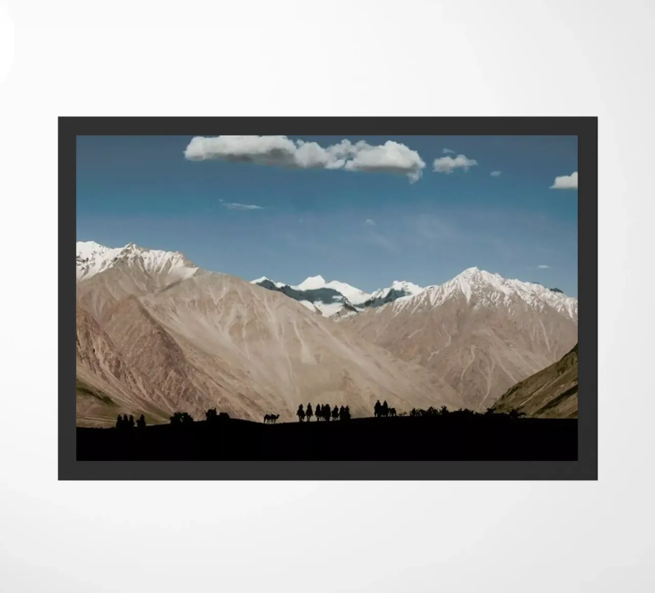 Setting Out zerbino da METROPOLIS