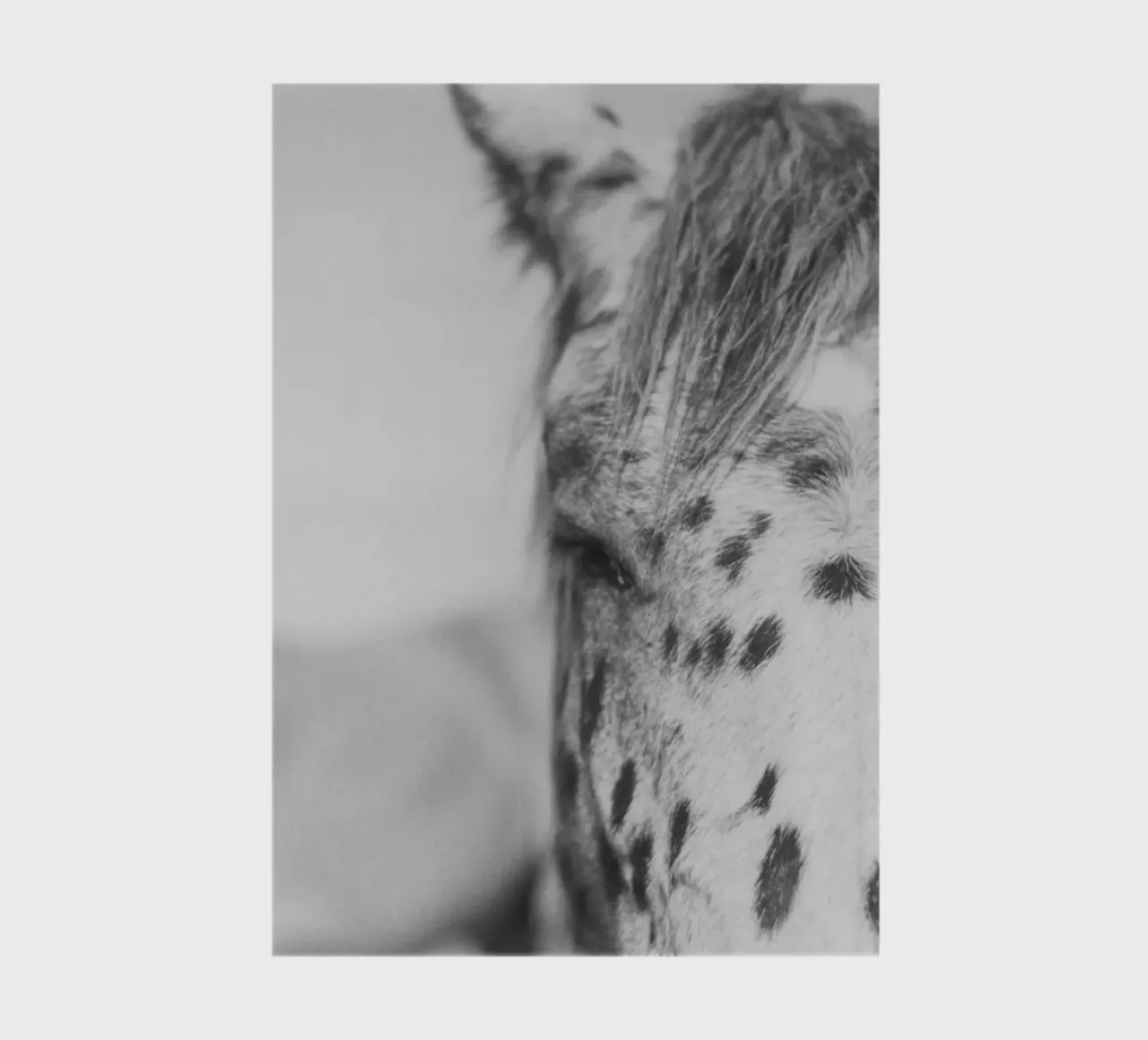 Kleiner Onkel carnet de notes de Nur Mut