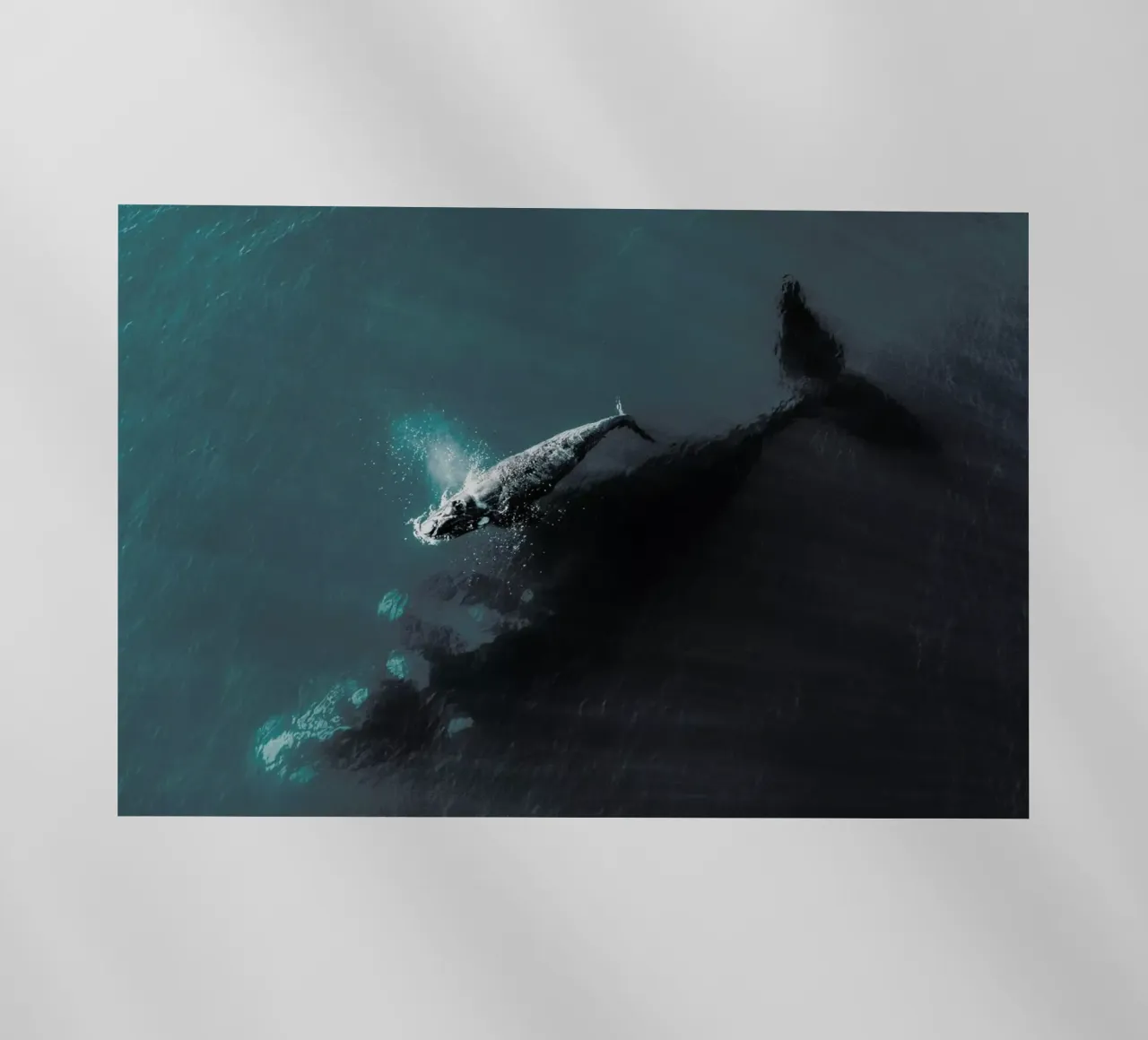 Where You Go, I Follow @KevinZaouali pellicola backlit da EyeEm Mobile GmbH