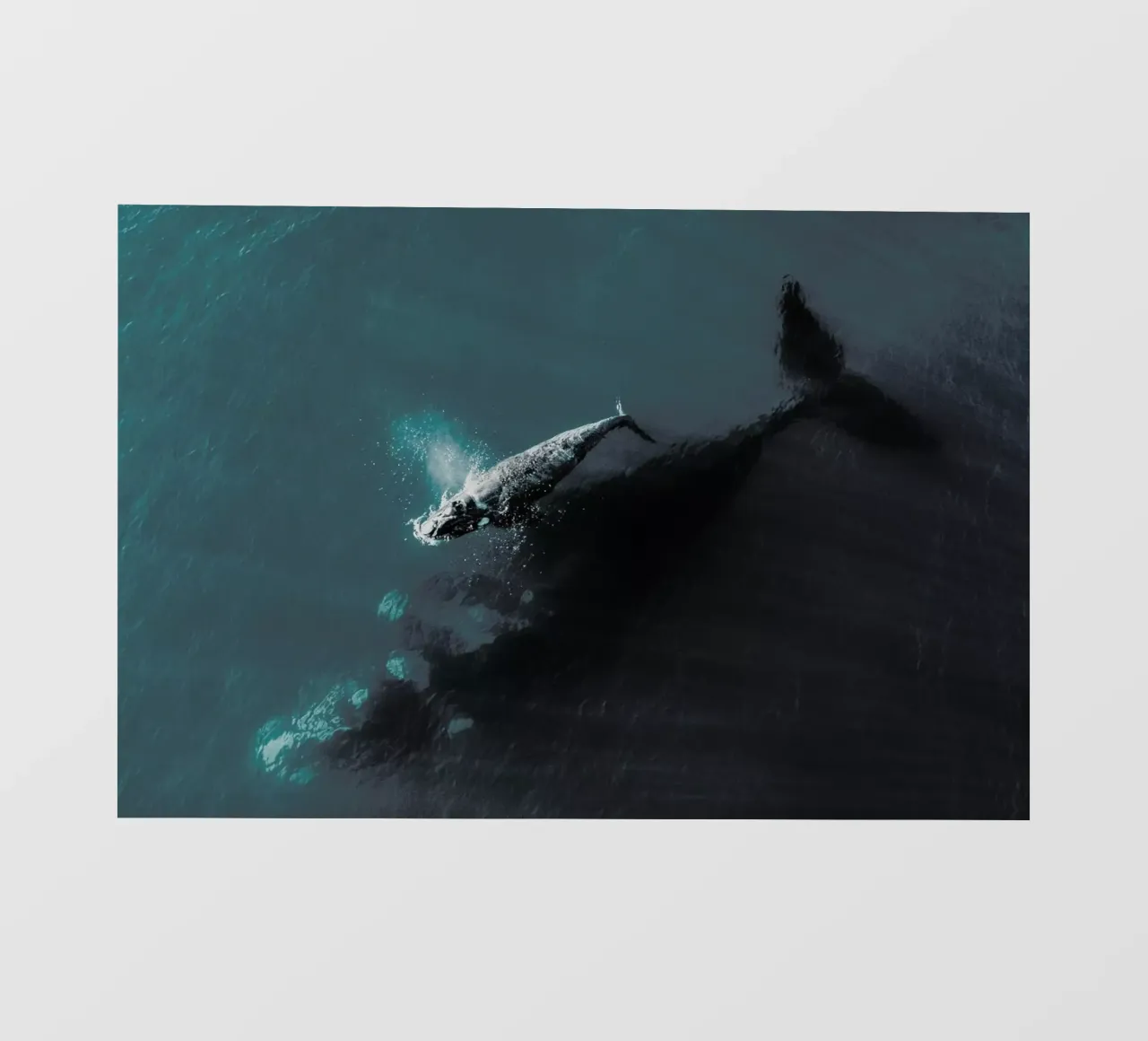 Where You Go, I Follow @KevinZaouali pellicola backlit da EyeEm Mobile GmbH