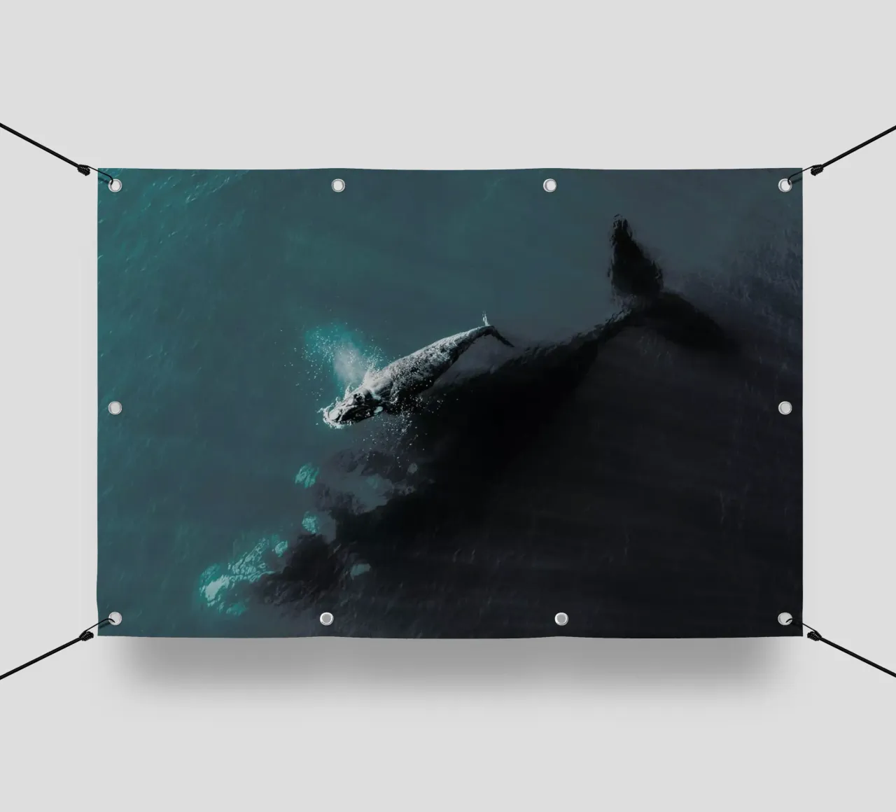 Where You Go, I Follow @KevinZaouali telo in pvc da EyeEm Mobile GmbH