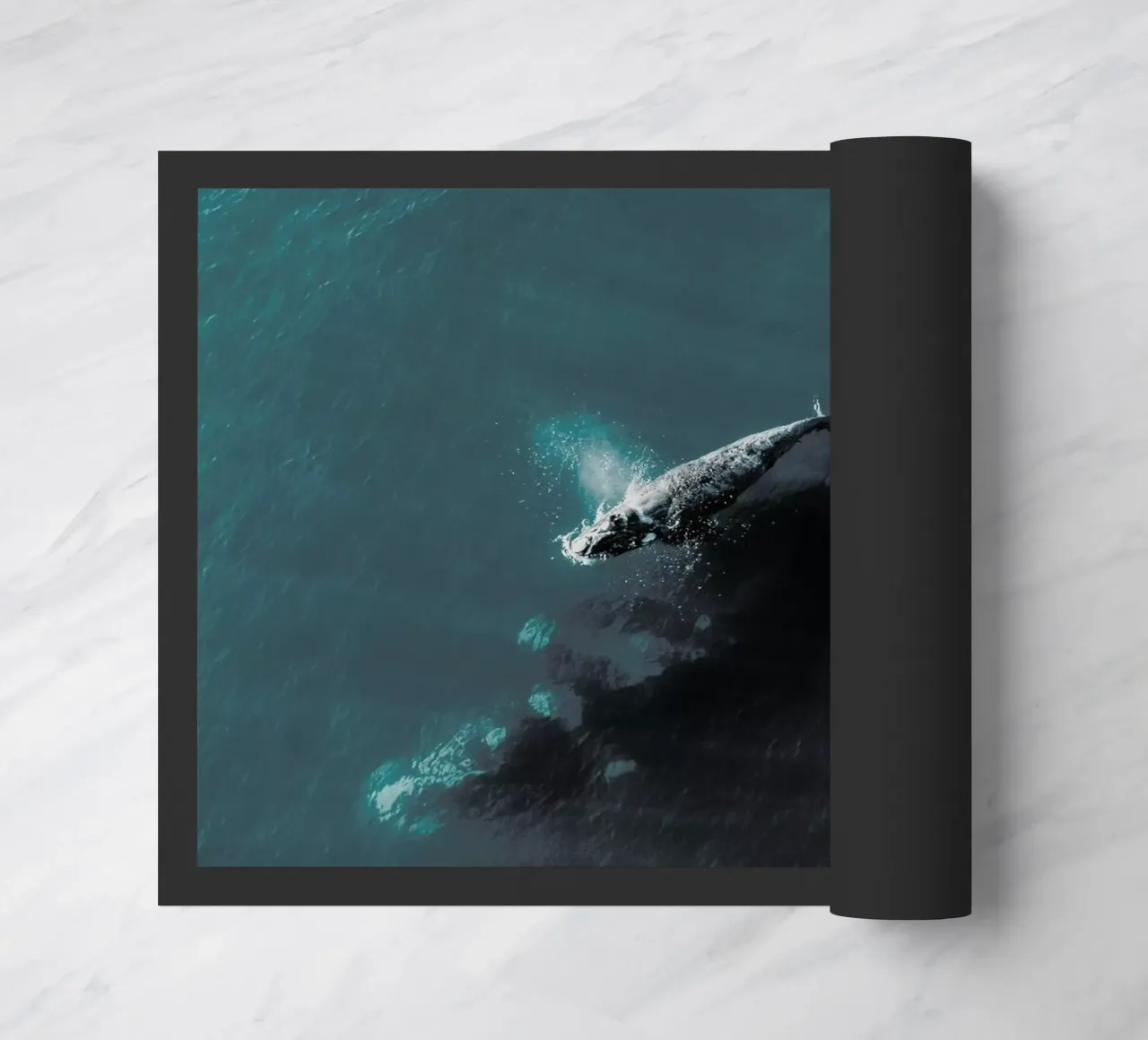 Where You Go, I Follow @KevinZaouali zerbino da EyeEm Mobile GmbH