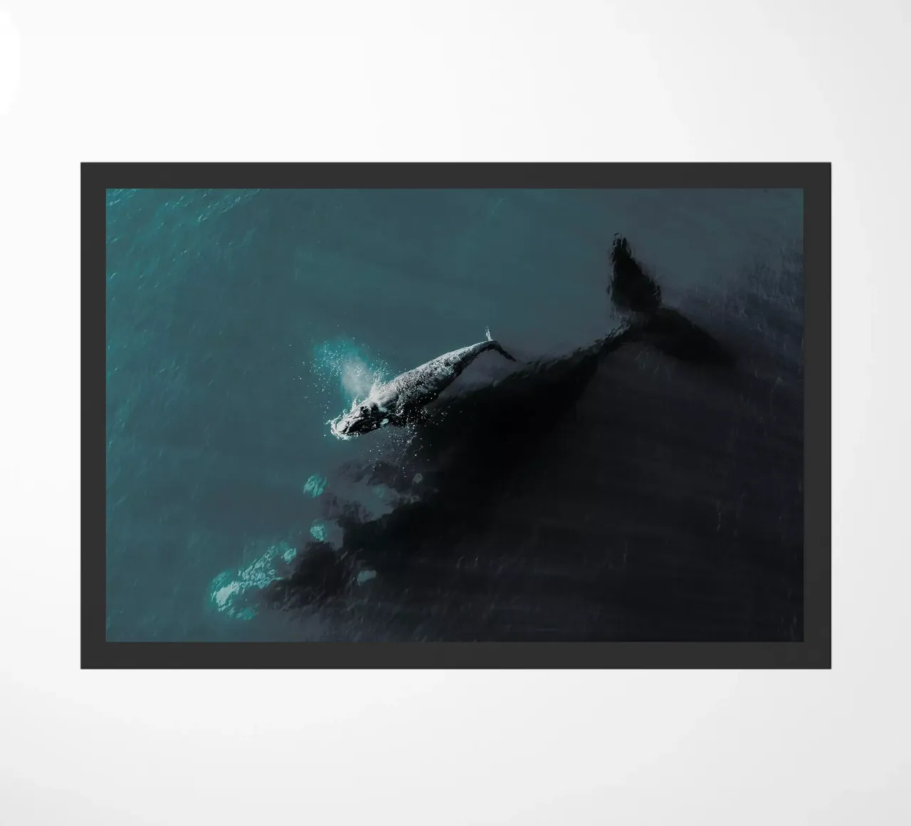 Where You Go, I Follow @KevinZaouali zerbino da EyeEm Mobile GmbH