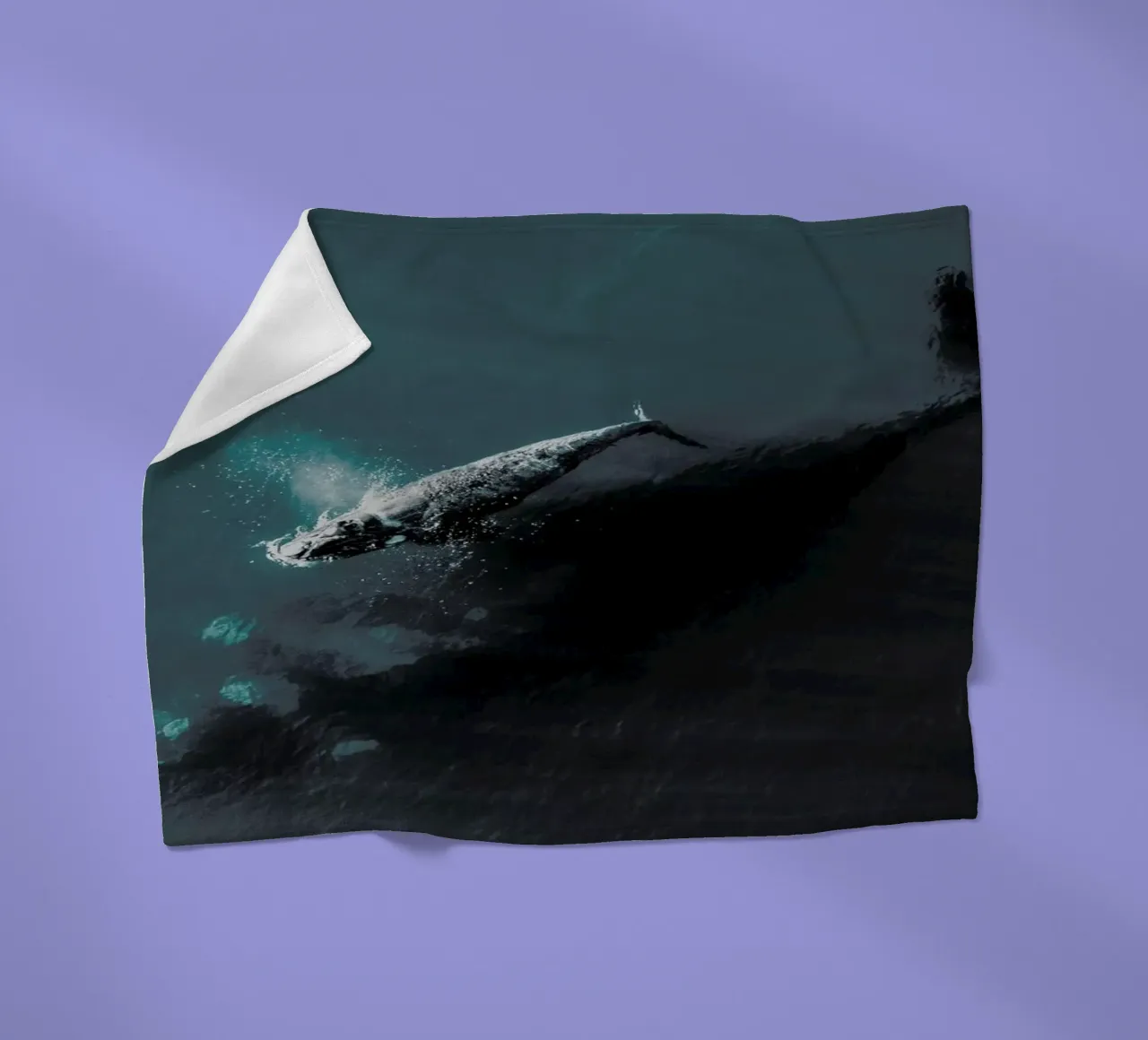 Where You Go, I Follow @KevinZaouali coperta in pile da EyeEm Mobile GmbH