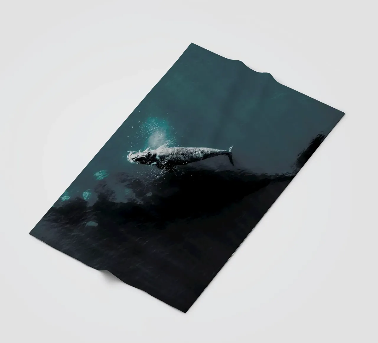 Where You Go, I Follow @KevinZaouali coperta in pile da EyeEm Mobile GmbH