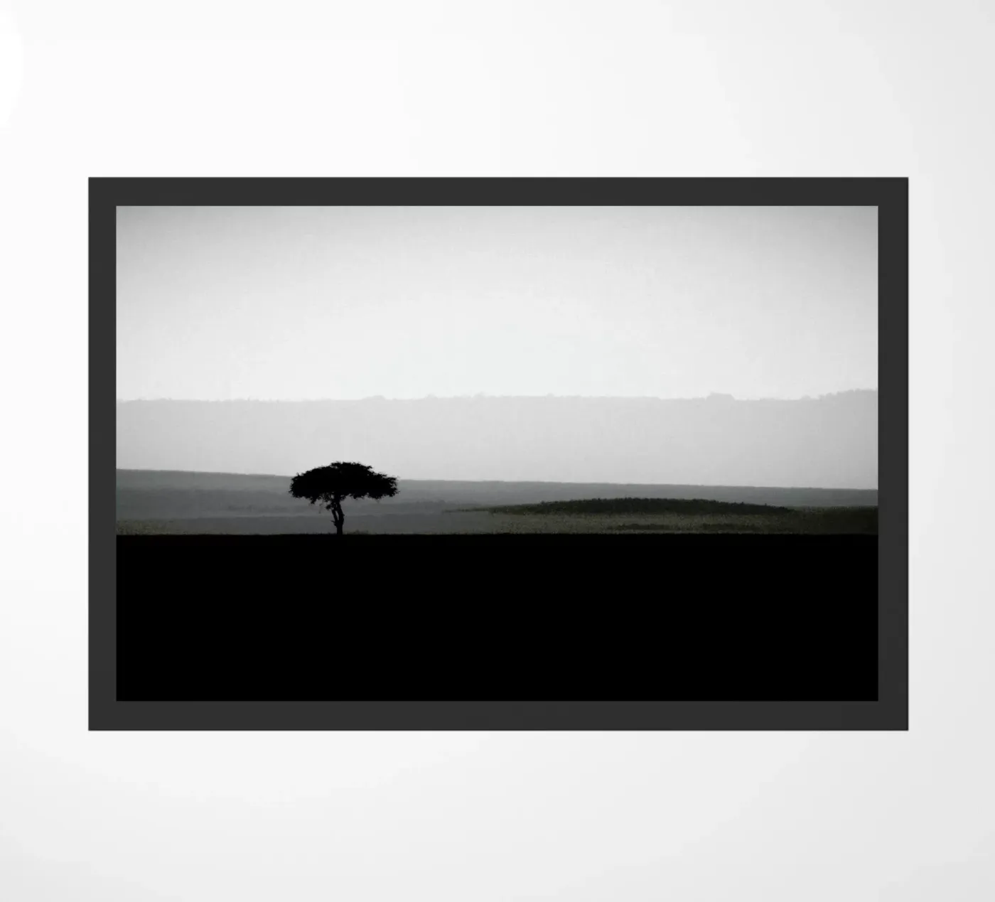 The Sole Tree zerbino da METROPOLIS