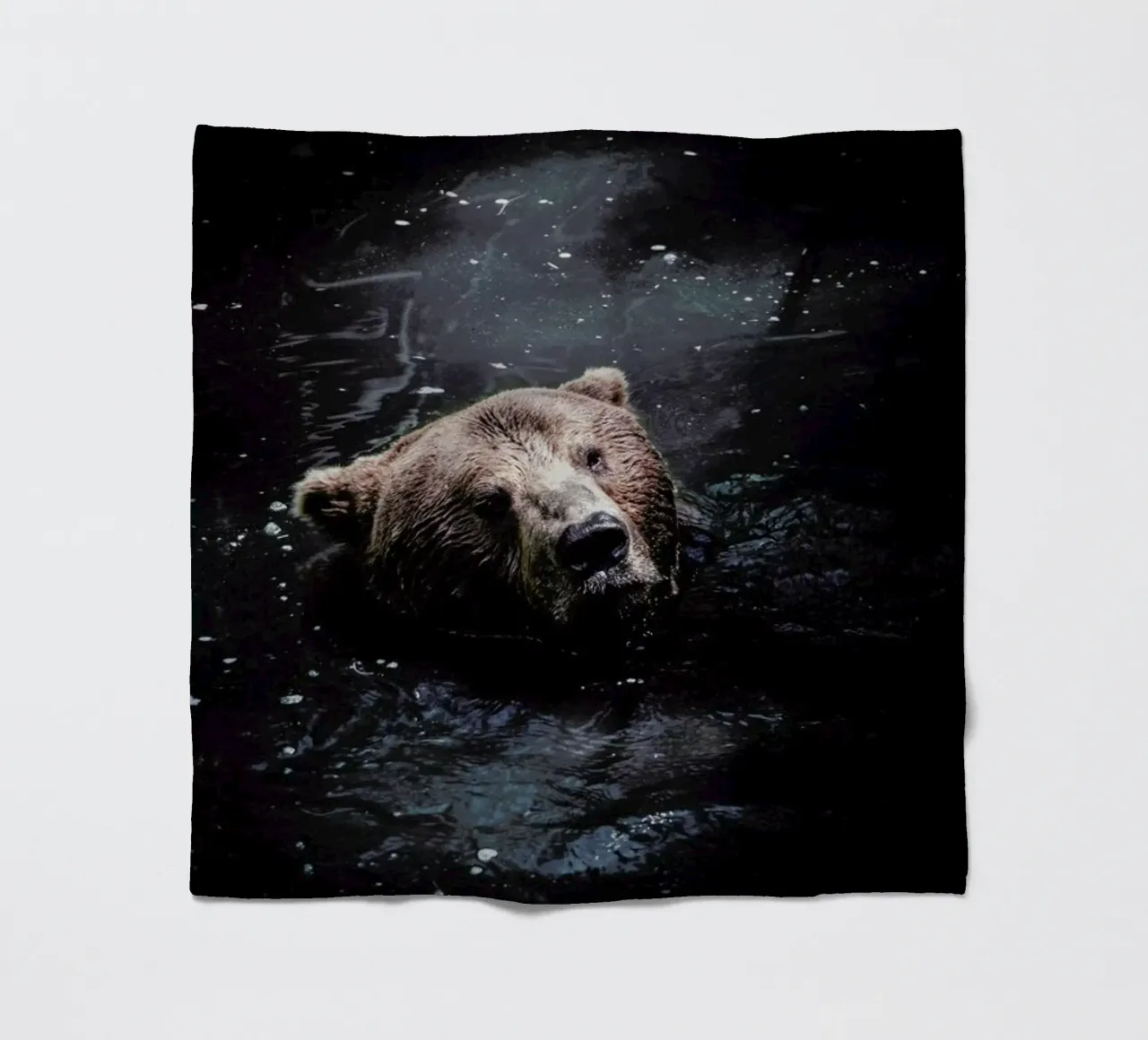 Grizzly Paddle @nilsleithold coperta in pile da EyeEm Mobile GmbH