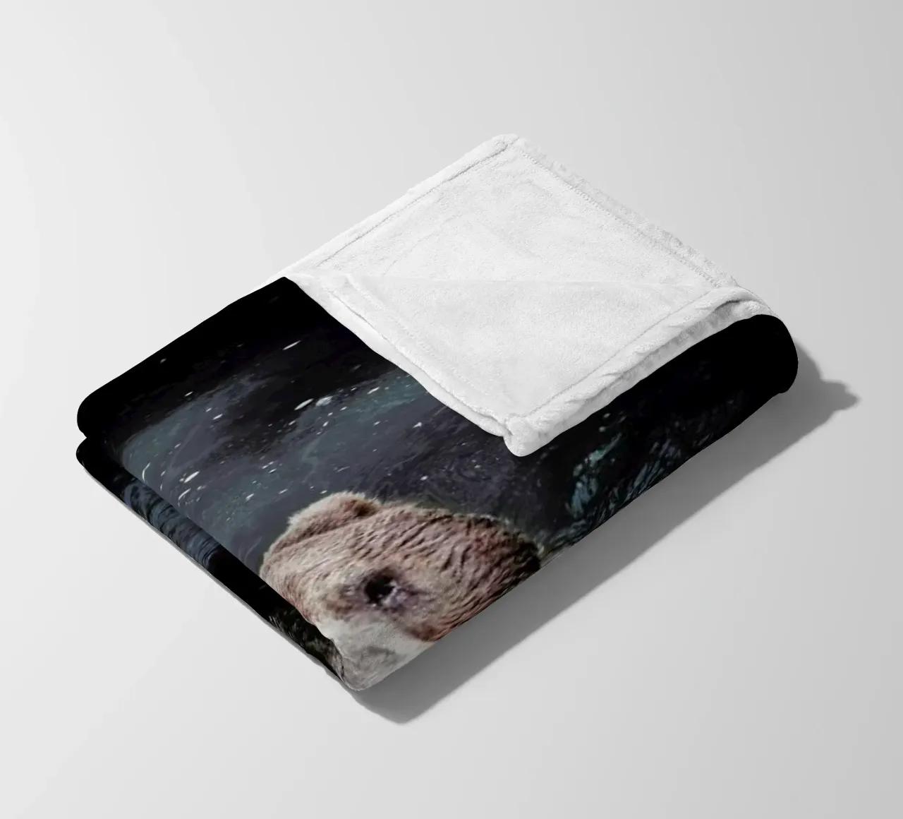 Grizzly Paddle @nilsleithold coperta in pile da EyeEm Mobile GmbH