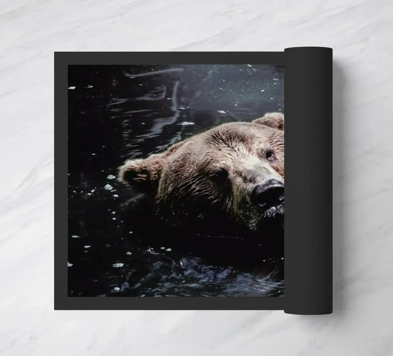 Grizzly Paddle @nilsleithold zerbino da EyeEm Mobile GmbH