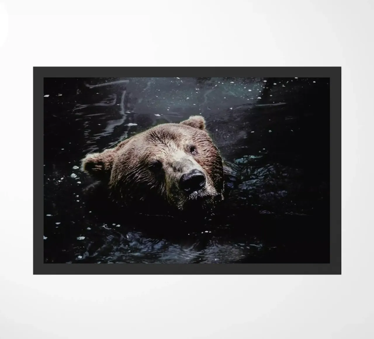 Grizzly Paddle @nilsleithold zerbino da EyeEm Mobile GmbH