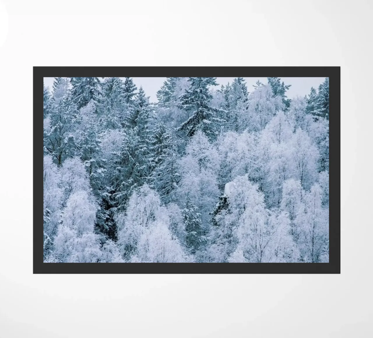Frosted Firs zerbino da METROPOLIS