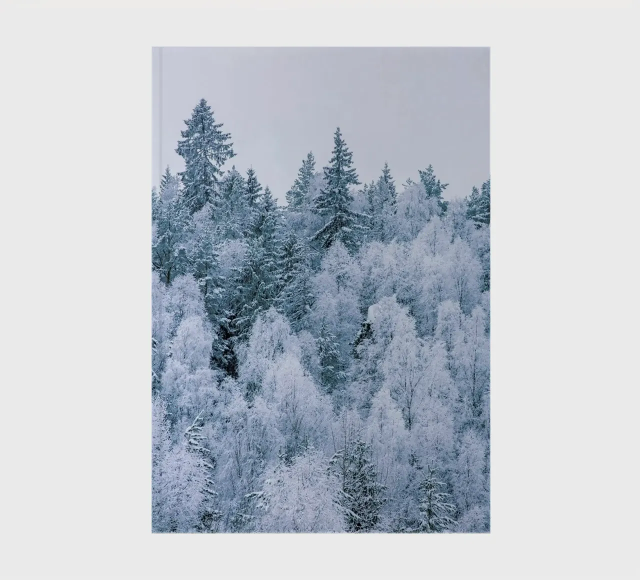 Frosted Firs notebook by METROPOLIS