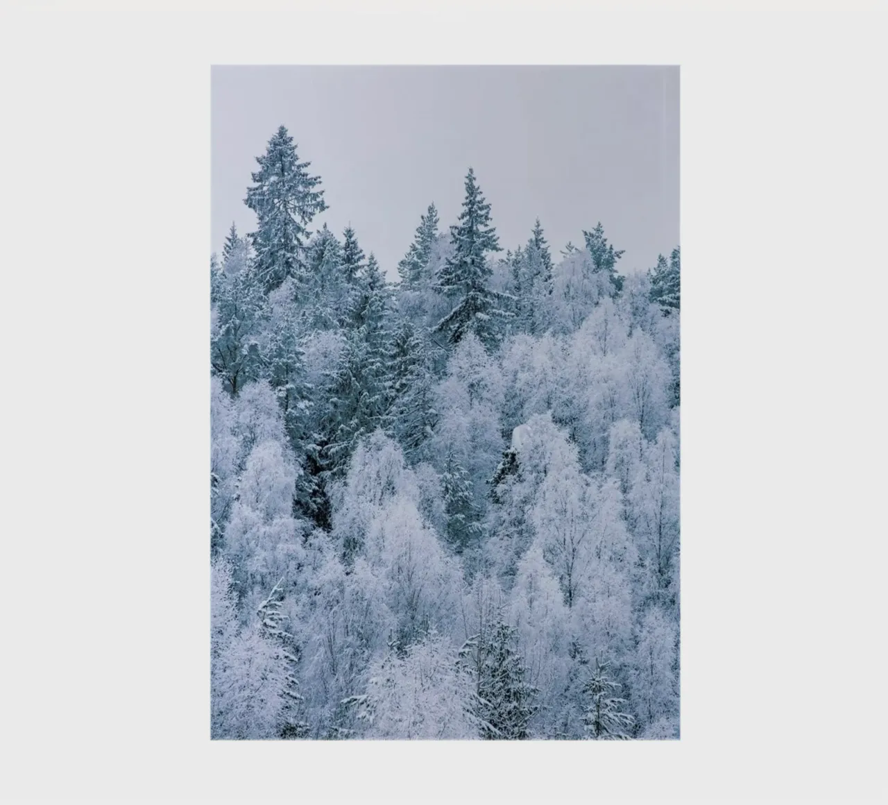 Frosted Firs notebook by METROPOLIS