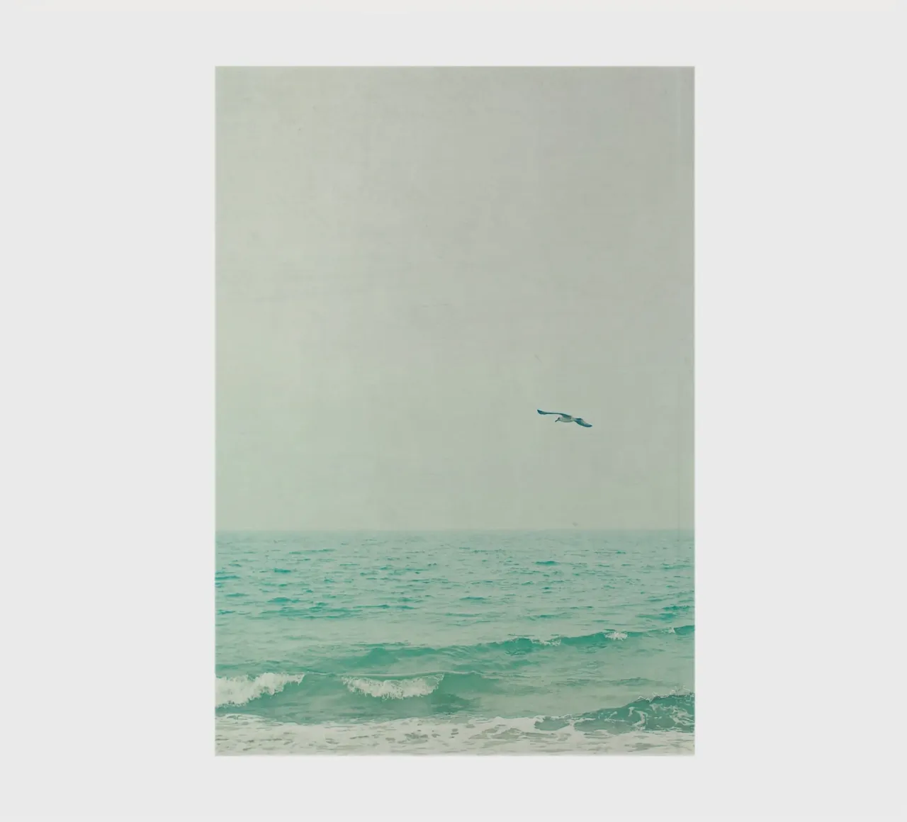 Lone Bird notebook by Cassia Beck Photography