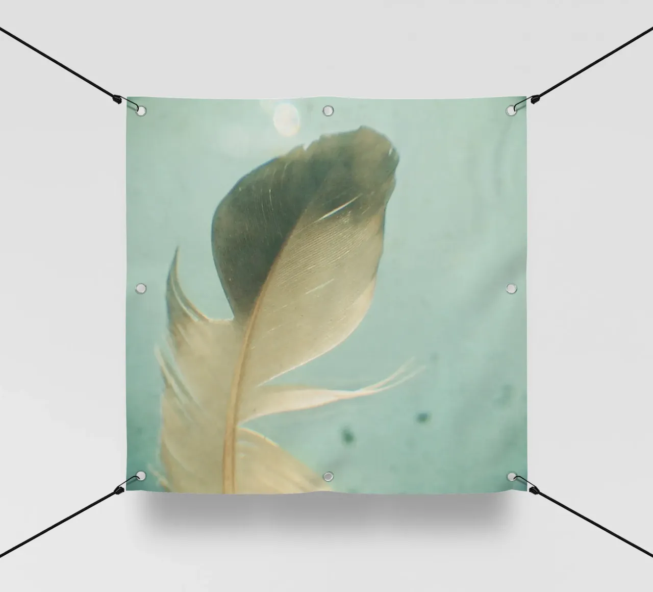 Piuma grigia telo in pvc da Cassia Beck Photography