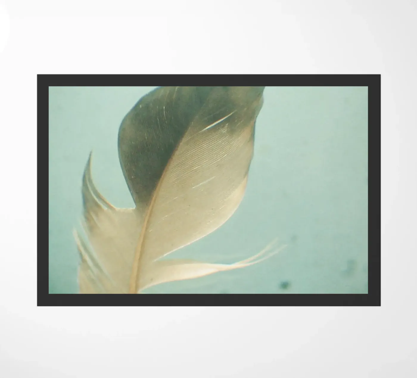 Grey Feather doormat by Cassia Beck Photography