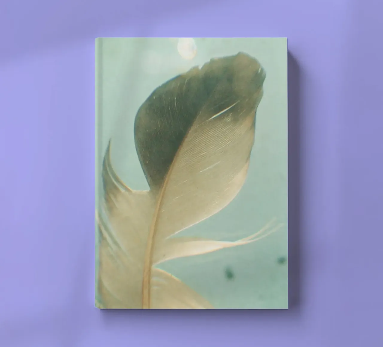 Grey Feather notebook by Cassia Beck Photography