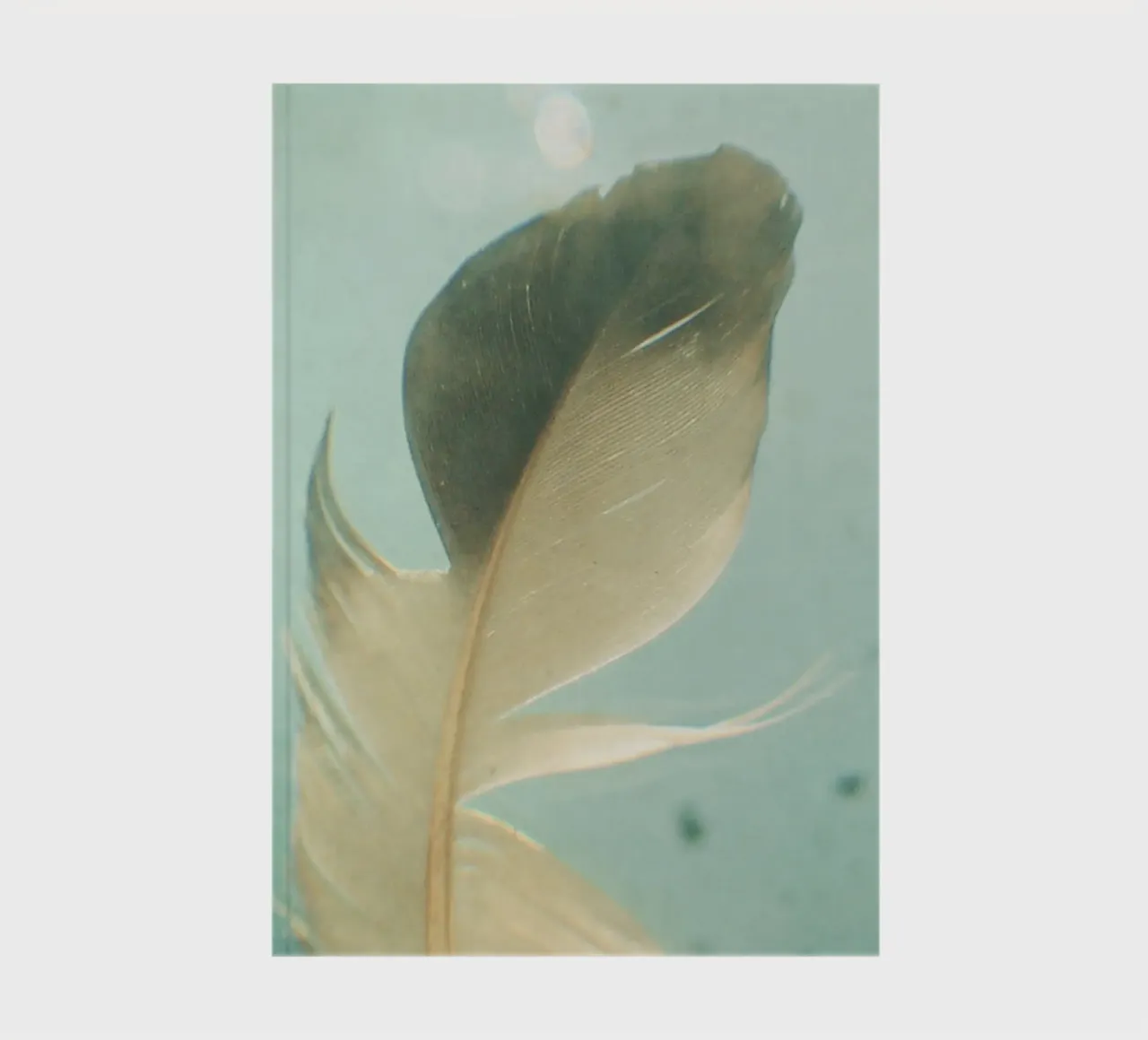 Grey Feather notebook by Cassia Beck Photography