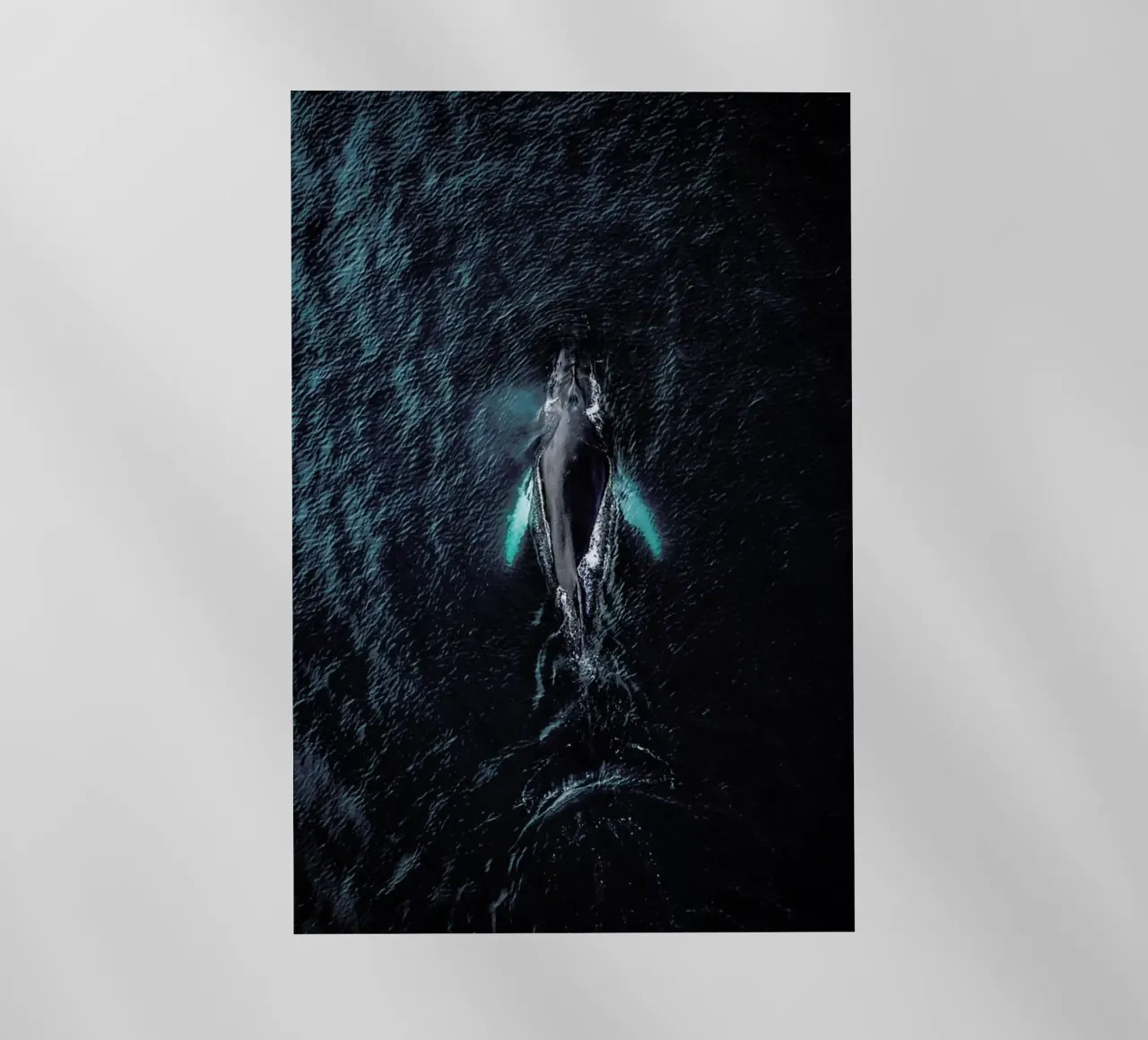 Tail As Old As Time by @regnumsaturni pellicola backlit da EyeEm Mobile GmbH