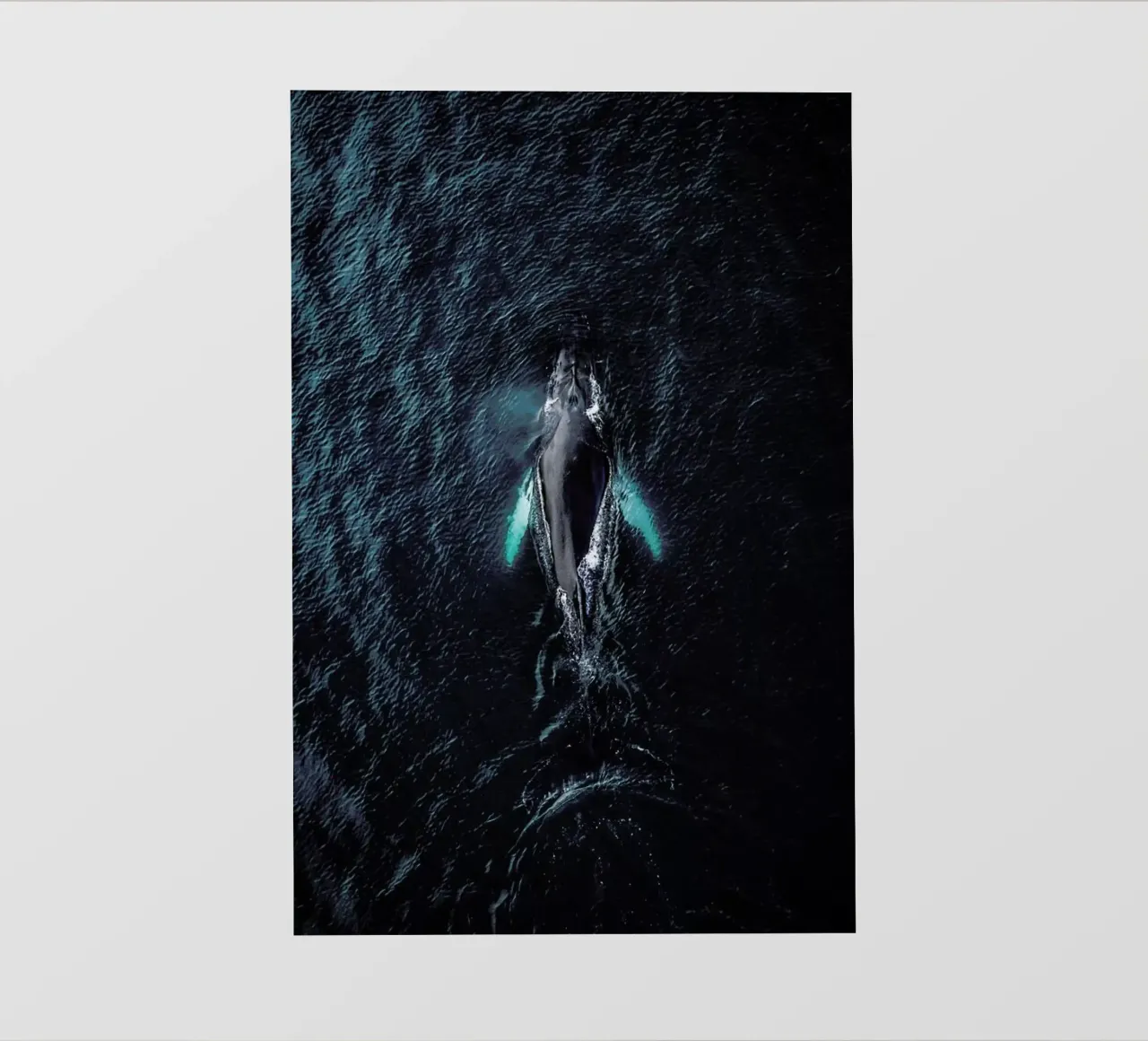 Tail As Old As Time by @regnumsaturni pellicola backlit da EyeEm Mobile GmbH