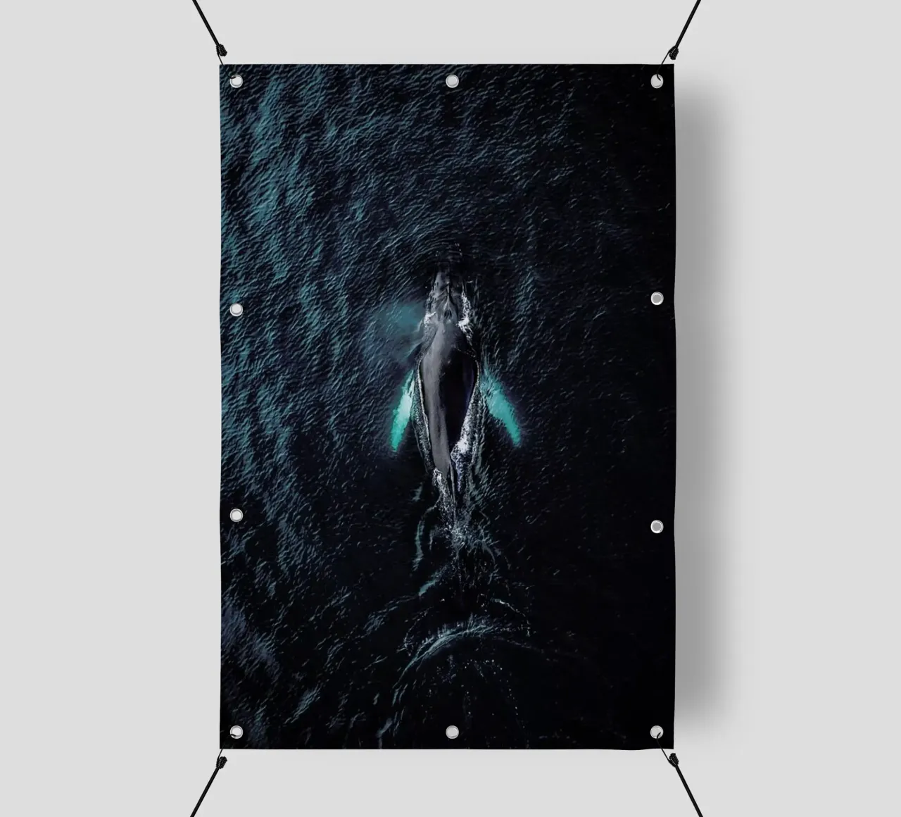 Tail As Old As Time by @regnumsaturni telo in pvc da EyeEm Mobile GmbH