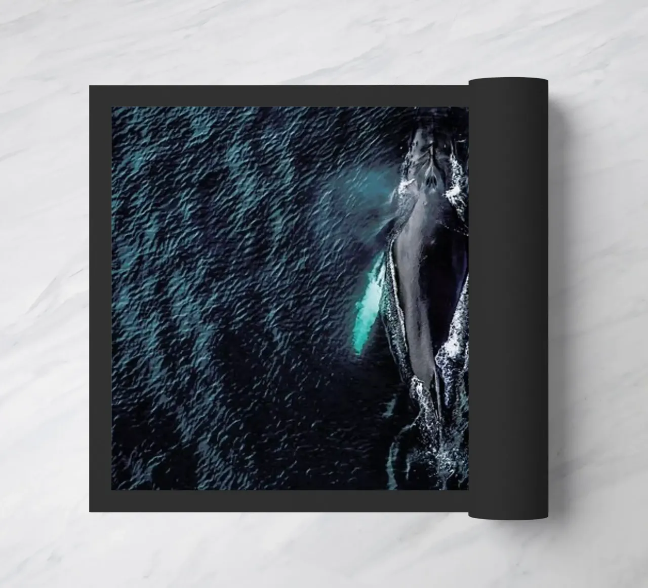 Tail As Old As Time by @regnumsaturni zerbino da EyeEm Mobile GmbH