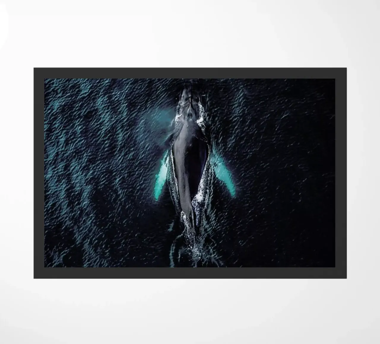 Tail As Old As Time by @regnumsaturni zerbino da EyeEm Mobile GmbH