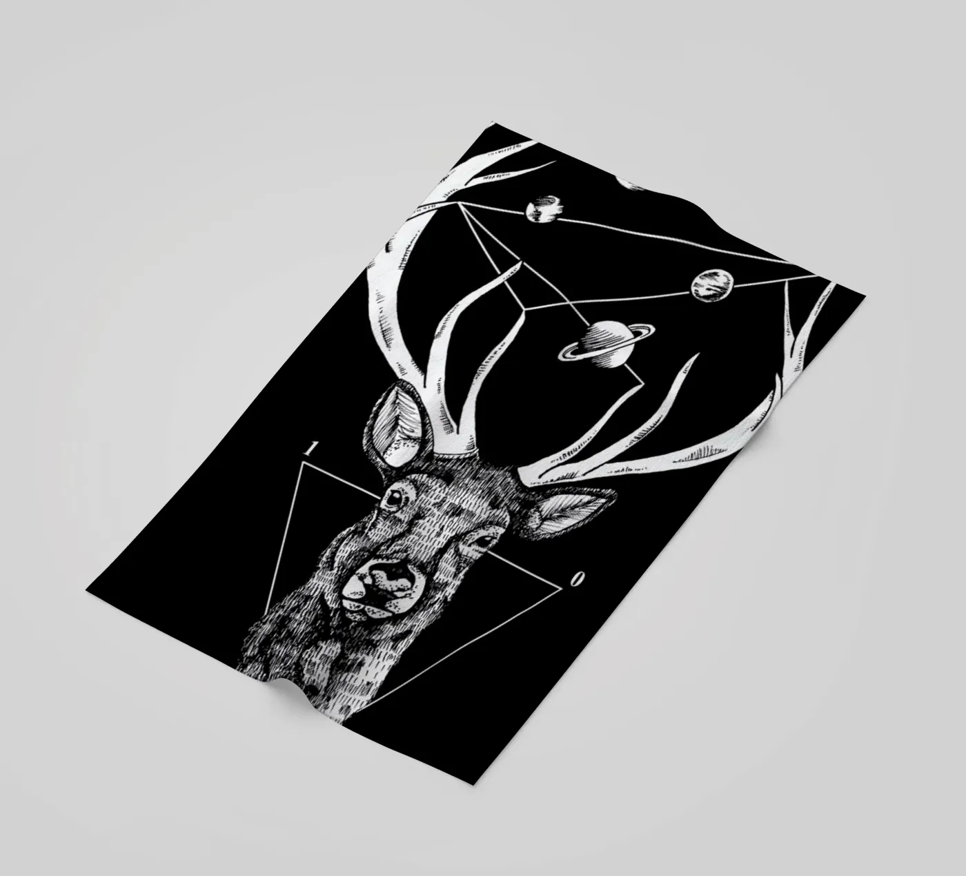 Deer telo mare da Alejandra Sáenz